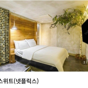 신촌신디호텔 스위트 양도
