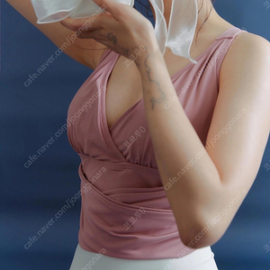 레브몽 폴웨어 프시케탑