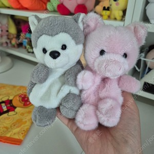 미니펫 허스키 돼지 인형