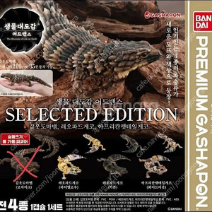 반다이 생물대도감 어드밴스 셀렉티드 에디션 도마뱀 2종