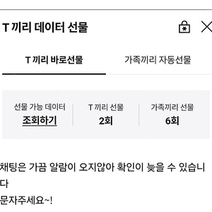 sk데이타 2기가