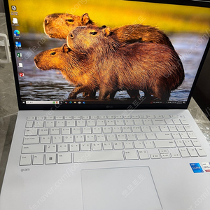 LG그램 15ZD90RU-GX54K 램16GB+NVMe1TB 노트북팔아요