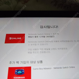 닌텐도 온라인 추가팩 1년(2/8)