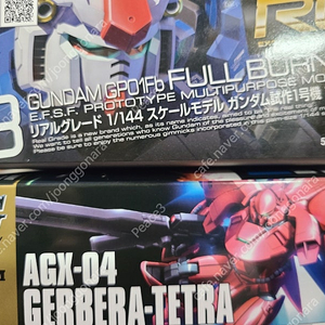 RG 건담 풀버니언 + hg가베라테트라