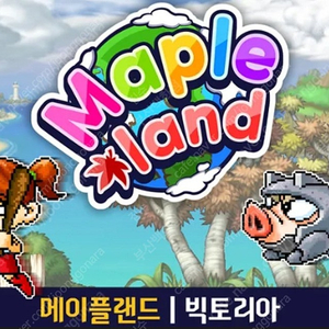 메이플랜드 메랜 메이플스토리월드 메월 월드코인 월코 70% 가격 판매합니다.