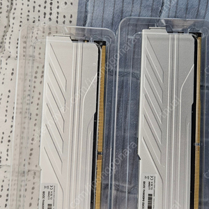 ddr5 킹뱅크 64gb(32x2) cl32 하이닉스 a다이 21만 급매