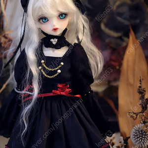 구관 구체관절인형 DOLK×Peak’s woods V. Lady bee - Kitten Blue ver. Limited 팝니다