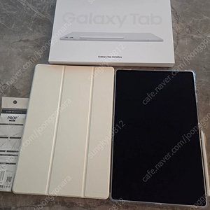 탭 S10 울트라 256G WIFI 플래티넘 실버 + 케이스 2개