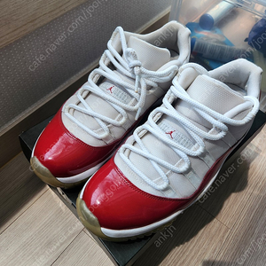조던 11 로우 체리 270
