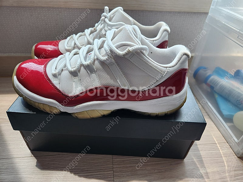 조던 11 로우 체리 270--1