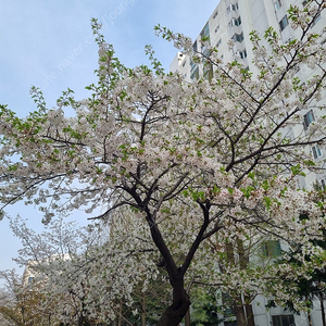 경주 숙소 구해요 5.4일1박