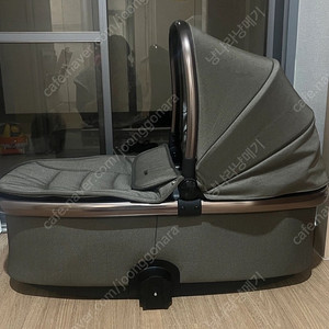 부산 오이스터 캐리콧 배시넷