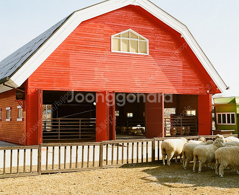 펜탁스67II+105mm 팔아요(BB-61) (가격인하)--8