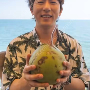 속초 강릉 양양 숙박권 구합니다