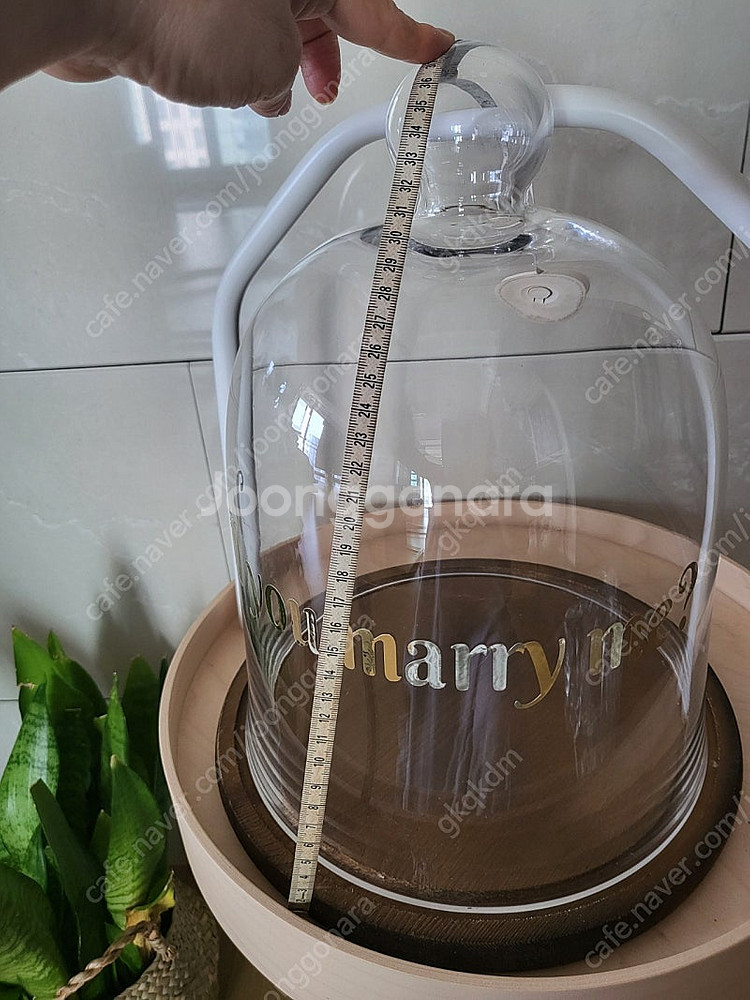 프로포즈 돔,케잌돔,글라스돔--3