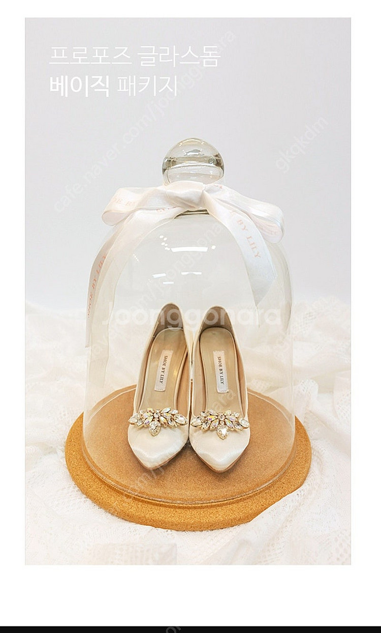 프로포즈 돔,케잌돔,글라스돔--5