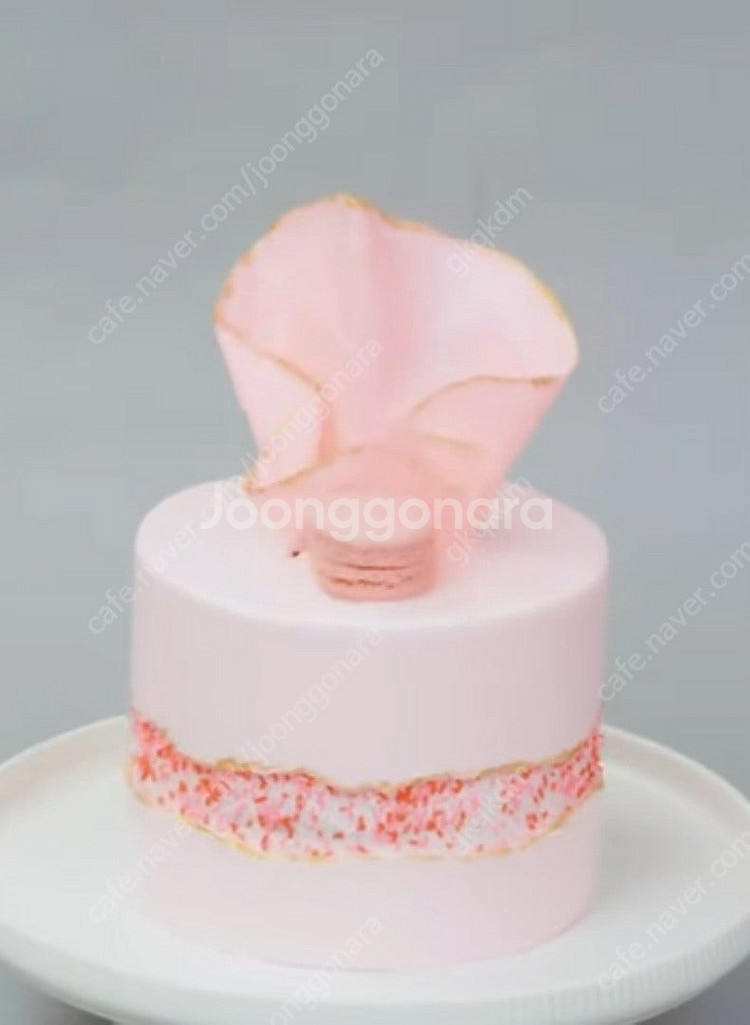 프로포즈 돔,케잌돔,글라스돔--7