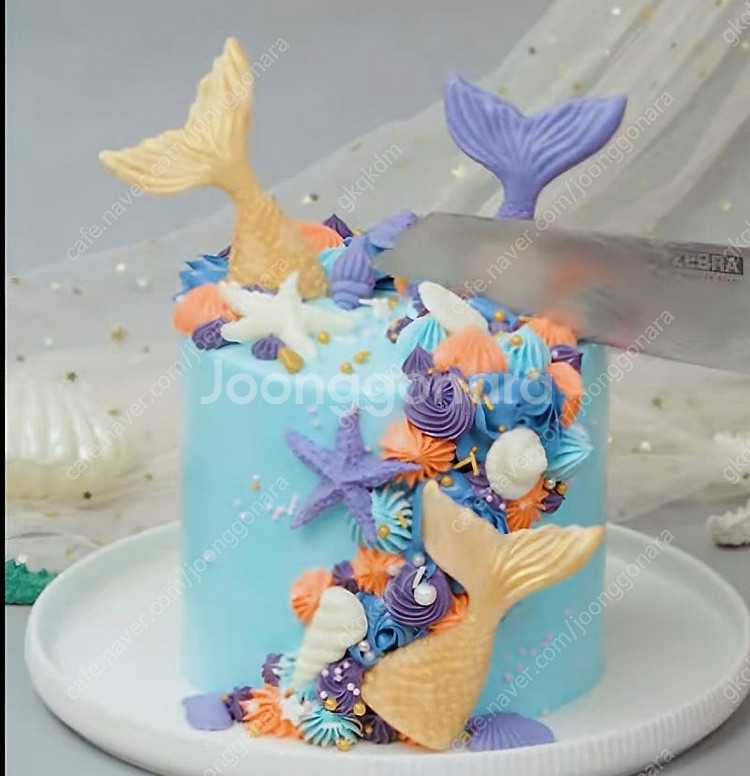 프로포즈 돔,케잌돔,글라스돔--8