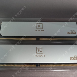 팀그룹 T CREATE DDR5 6000 EXPERT 화이트 64GB(32Gx2) (박스 없음)