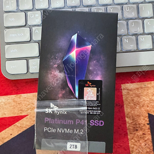 SK하이닉스 Platinum P41 NVMe 2tb