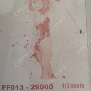레진 리캐스팅 판매 합니다