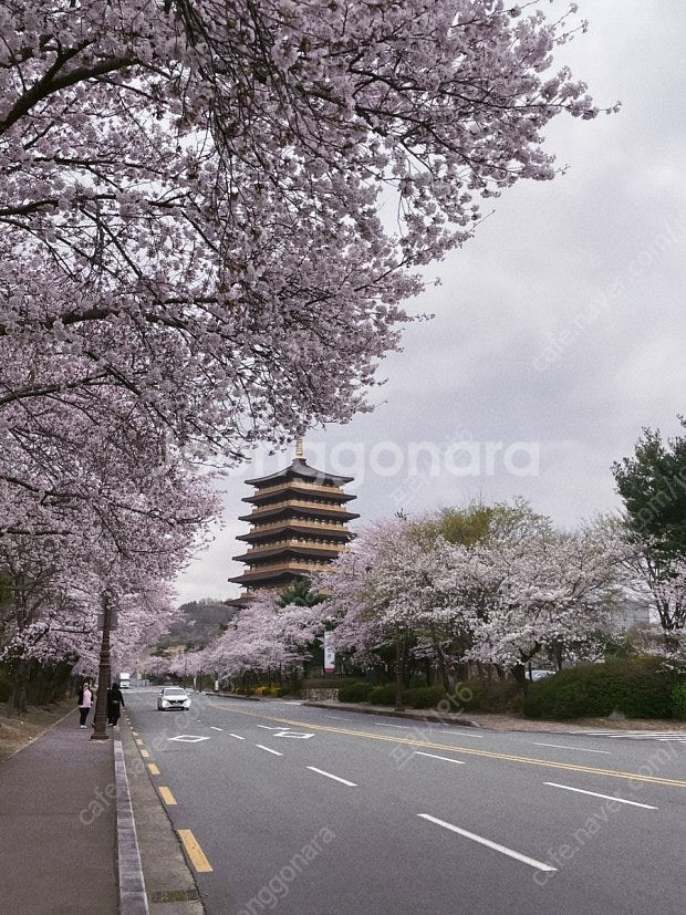 (내일숙박) 경주 켄싱턴/통영 마리나/ 청송 천안 변산...--0