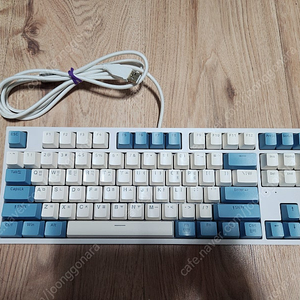 콕스 ck87 크림블루 황축