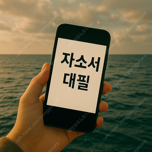 자소서 대필/첨삭 1:1 맞춤 진행! 24시간 빠른 작성/합리적 가격의 자소서 대행 노베이스 컨설팅 환영!