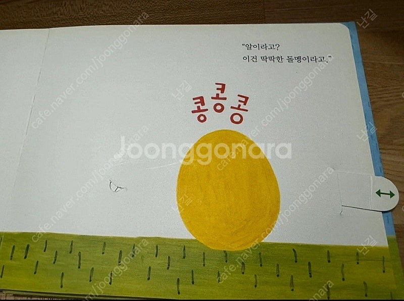 핀덴 창의나비 24권 (택포)--1