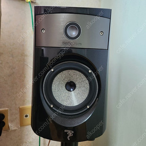 포칼 (FOCAL) 일렉트릭 1008BE 스피커