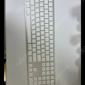 애플 매직 키보드 2 Numeric Keypad A18