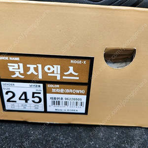 릿지엑스 245 등산화
