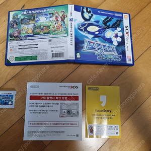 포켓몬스터 3ds 칩