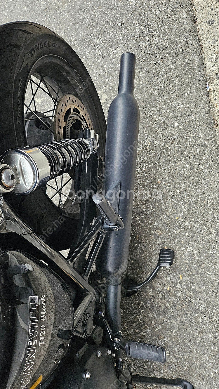 트라이엄프 본네빌 t120 블랙 18년식--9