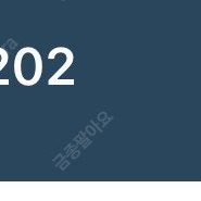 라스 금종 1200+ 팝니다