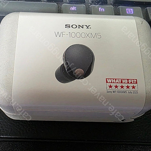 SONY WF-1000XM5 (정품) 블랙 미개봉 판매 합니다