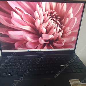 Asus vivobook 13세대 3604va 판매