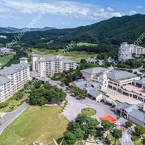 (현충일연휴) 비체팰리스/오크밸리/모나용평/무주덕유산리조트