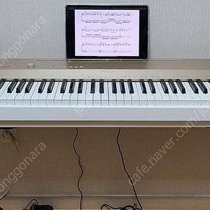 카시오 PX160 디지털피아노(88해머건반)px-160
