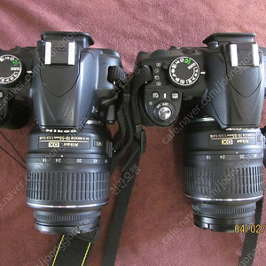 니콘 D3100 2대