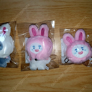 샤이니 온유 인형 찡냥이, 찡먹이, 찡냥이 키링