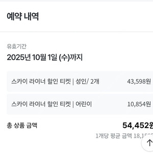 스카이라이너 티켓 양도