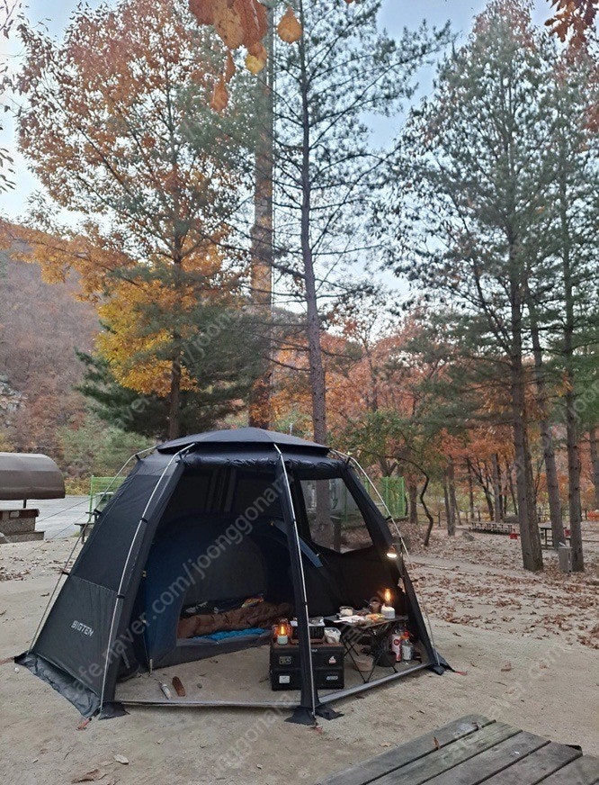 빅텐 돔숼터 카키 이미지