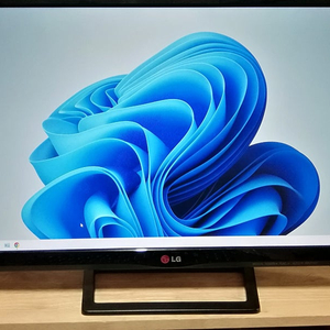 LG 24인치 FHD IPS LED 광시야각 PREMIUM 모니터 HDMI -DVI 연결케이블 4만5