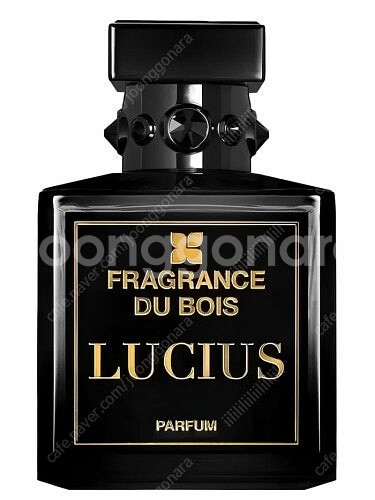 프래그런스 두 부아 루시어스 100ml 판매--0