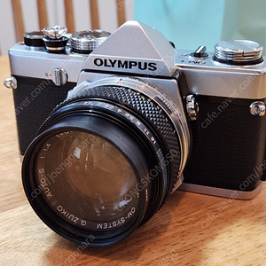 올림푸스 OM-1 + 50mm F1.4 50.4 주이코 필름 카메라 + 렌즈 SLR 필카