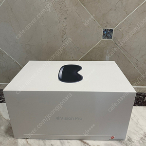 애플 비전프로 512GB