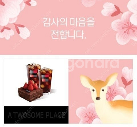 투썸 스트로베리 초콜릿 생크림 +아메리카노R2잔 166...--0