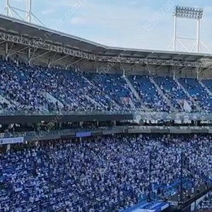 삼성 홈 경기 오늘 티켓 3장 구매 원해요