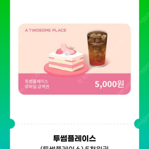 투썸플레이스 5천원권 2장